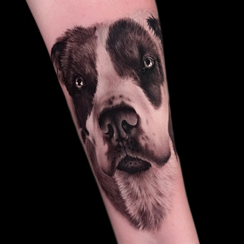 Gorgeous black and grey realistic dog portrait by artist Liz Venom